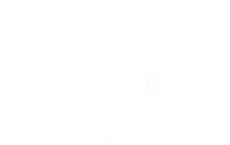 logo-ifg